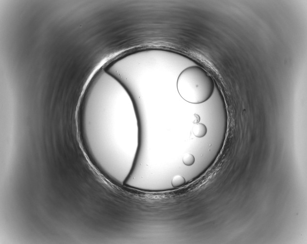 X0000087041032200705021132
