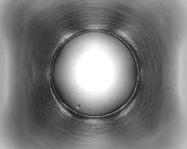 X0000087041033200705021132