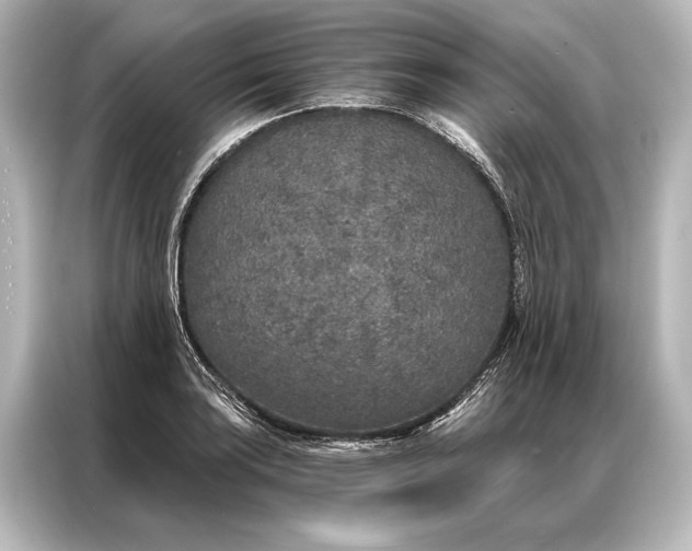 X0000087041035200705021132