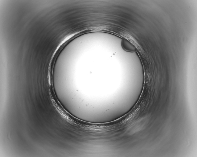 X0000087041036200705021132