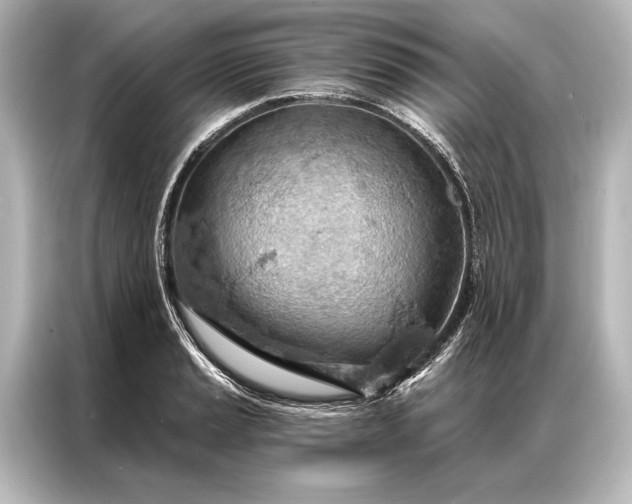 X0000087041037200705021132