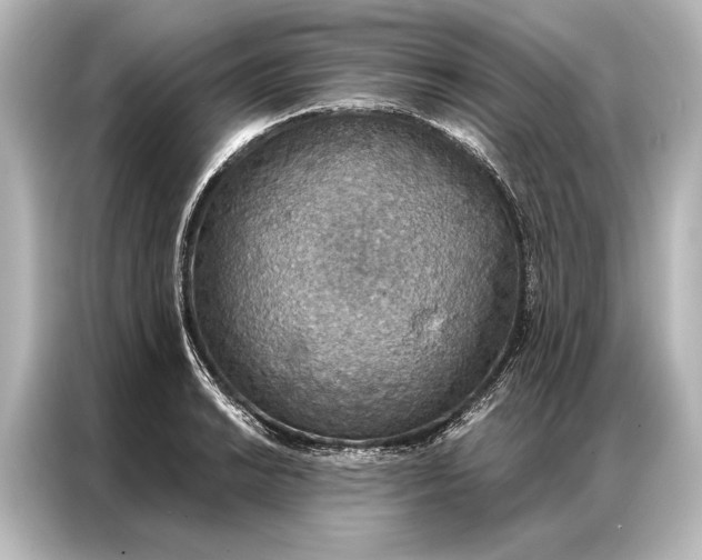 X0000087041038200705021132