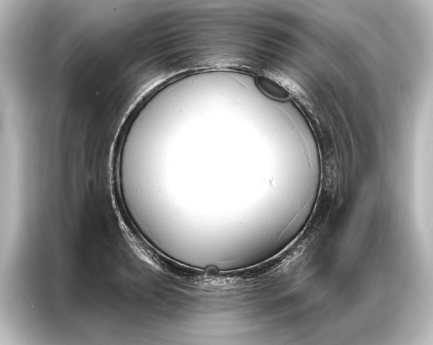 X0000087041039200705021132
