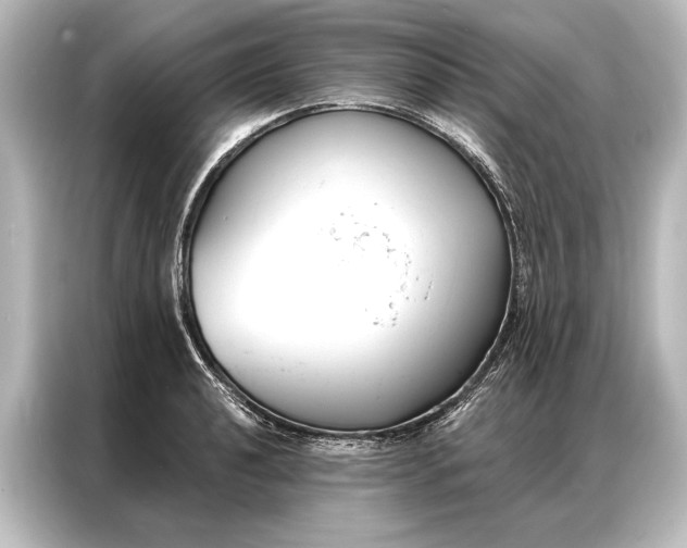 X0000087041040200705021132