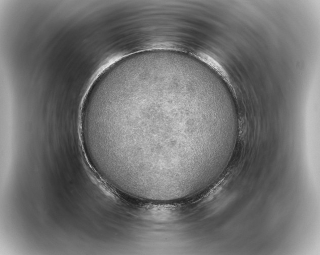 X0000087041043200705021132