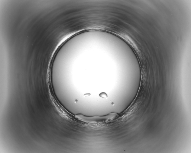 X0000087041044200705021132