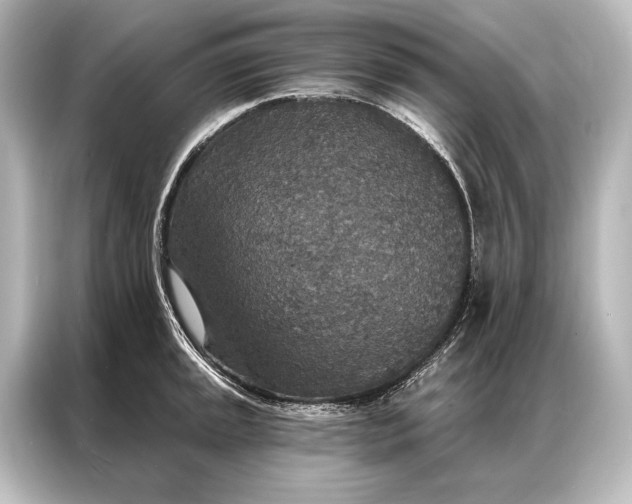 X0000087041045200705021133