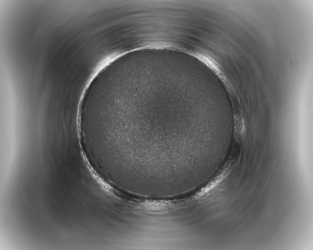 X0000087041046200705021133