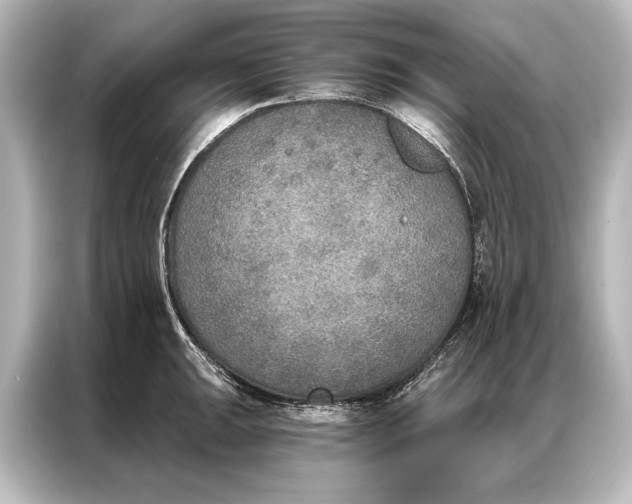X0000087041047200705021133