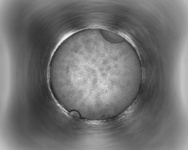 X0000087041048200705021133