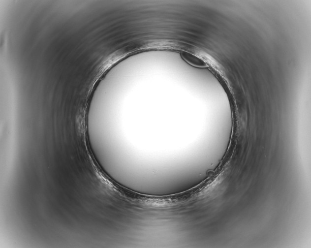 X0000087041049200705021133