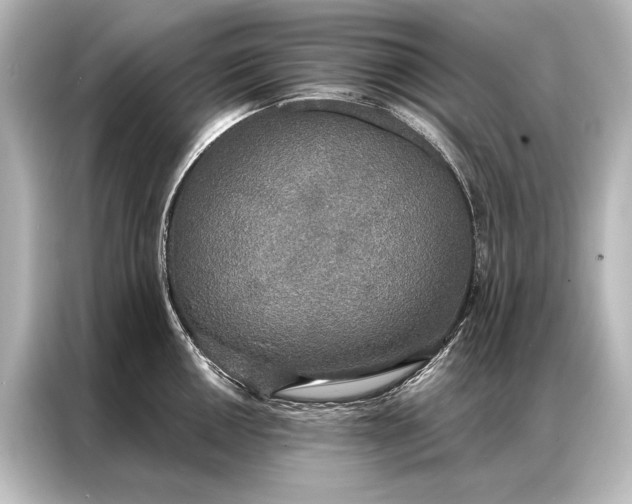 X0000087041050200705021133