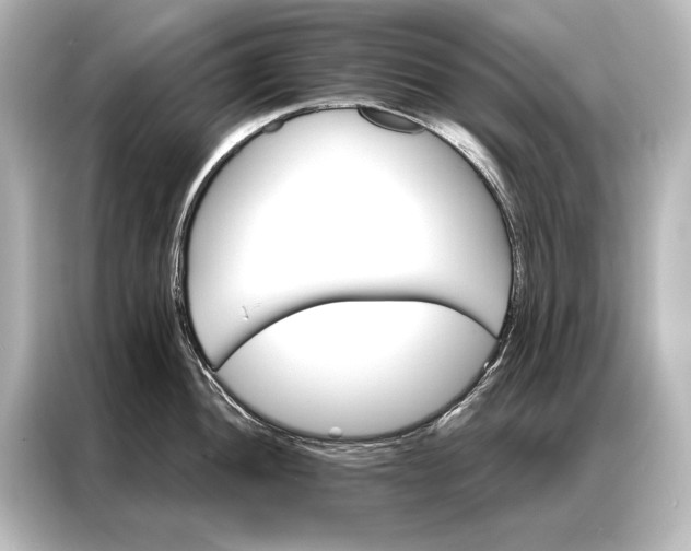 X0000087041052200705021133