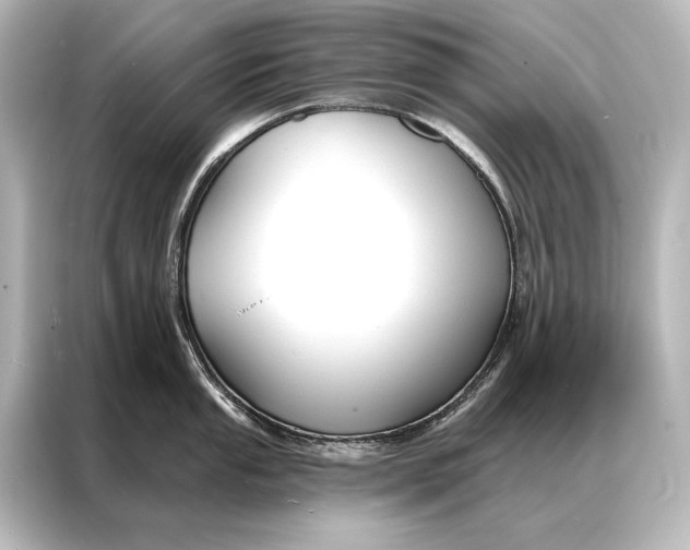 X0000087041053200705021133