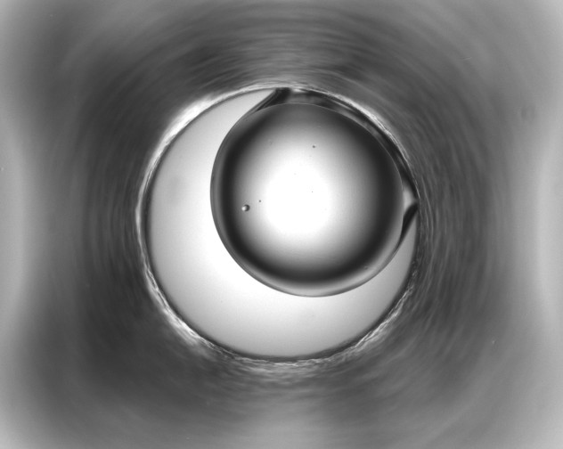 X0000087041054200705021133
