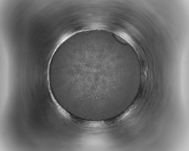 X0000087041055200705021133