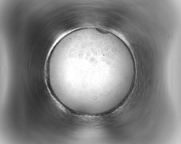 X0000087041056200705021133
