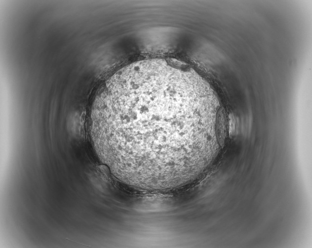 X0000087041059200705021132