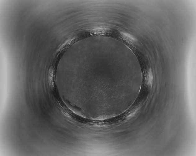 X0000087041060200705021132
