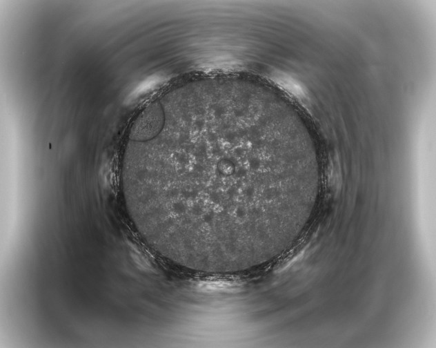 X0000087041063200705021132