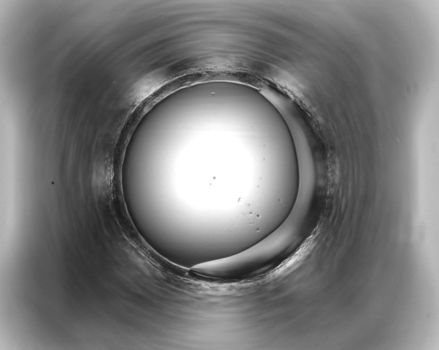 X0000087041065200705021132