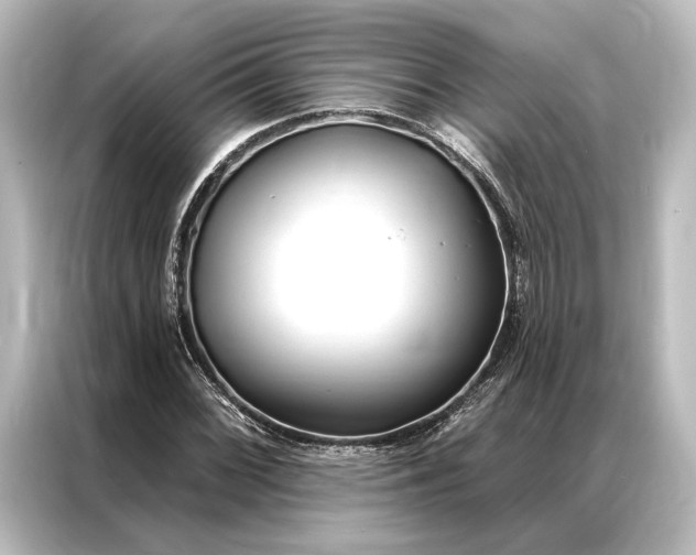 X0000087041068200705021132
