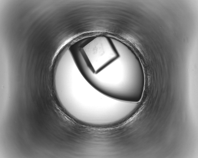 X0000087041069200705021132