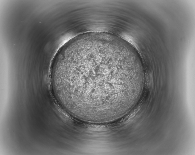 X0000087041071200705021132