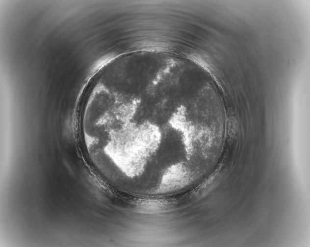 X0000087041074200705021132