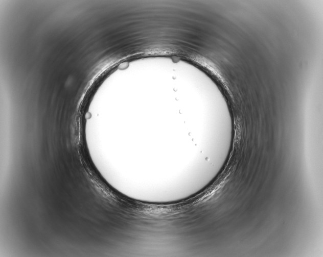 X0000087041075200705021132