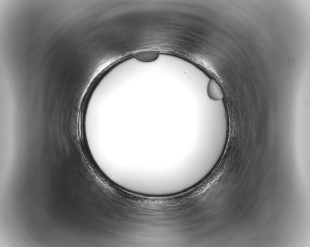X0000087041079200705021132