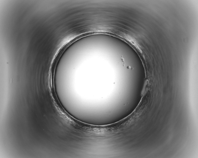 X0000087041080200705021132
