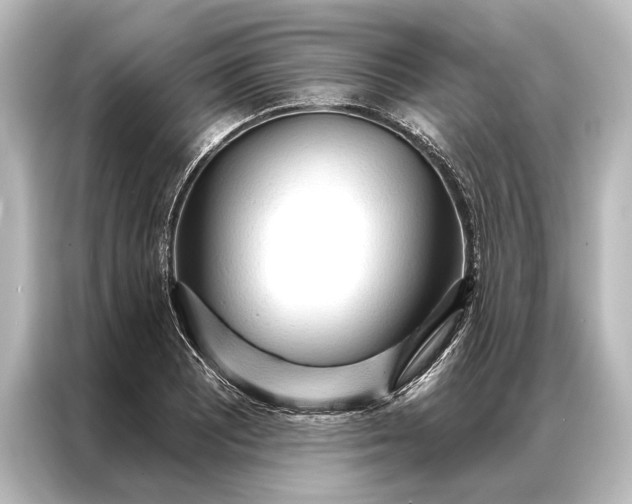 X0000087041081200705021132