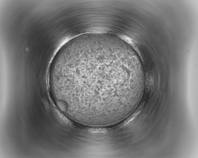 X0000087041083200705021132