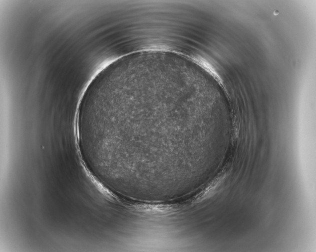 X0000087041084200705021132