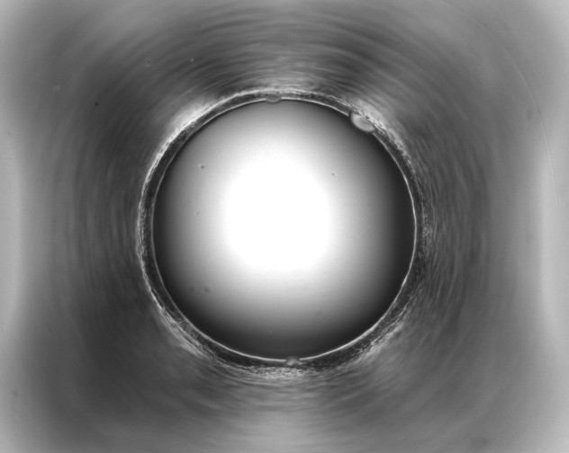 X0000087041085200705021132