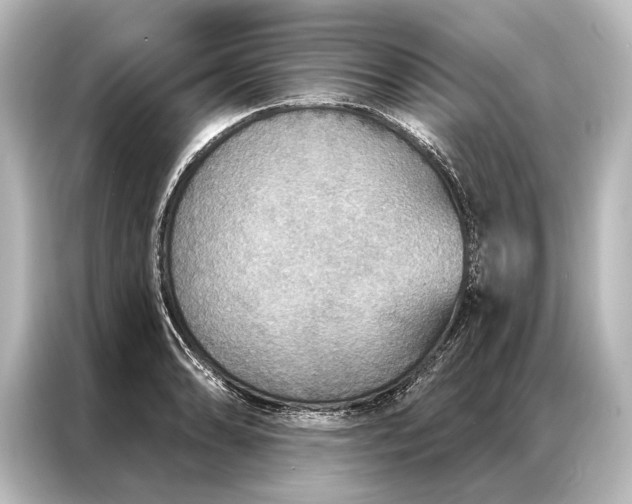 X0000087041086200705021132