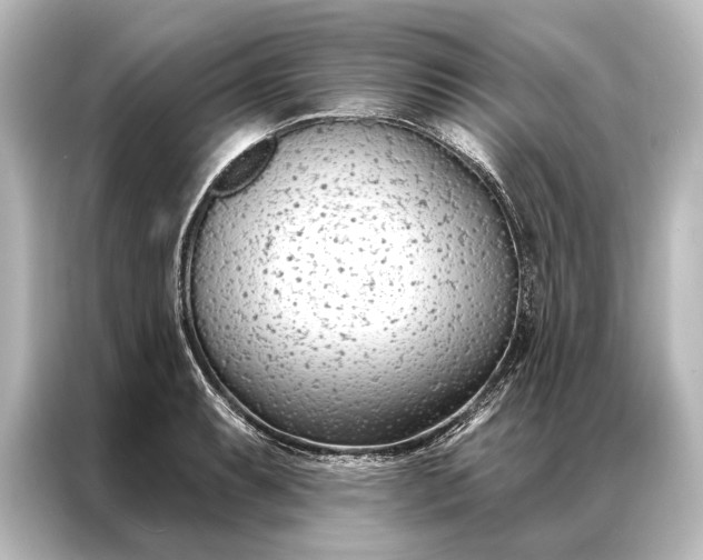 X0000087041087200705021132
