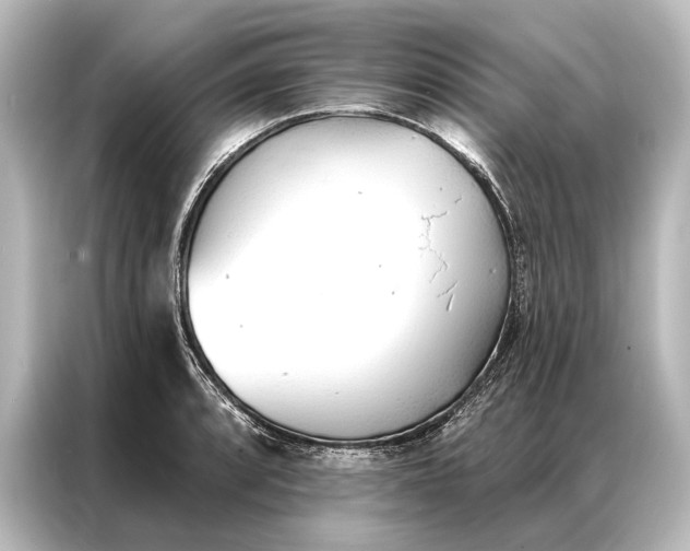 X0000087041088200705021132