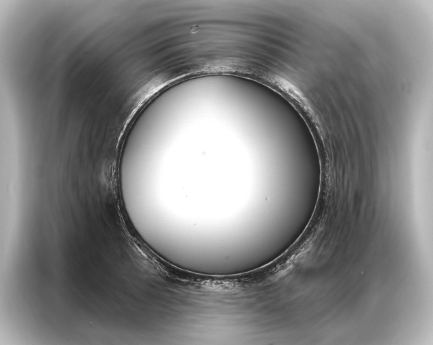 X0000087041089200705021132
