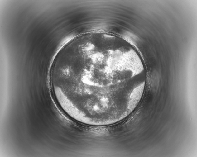 X0000087041090200705021132
