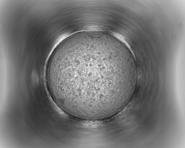 X0000087041091200705021132