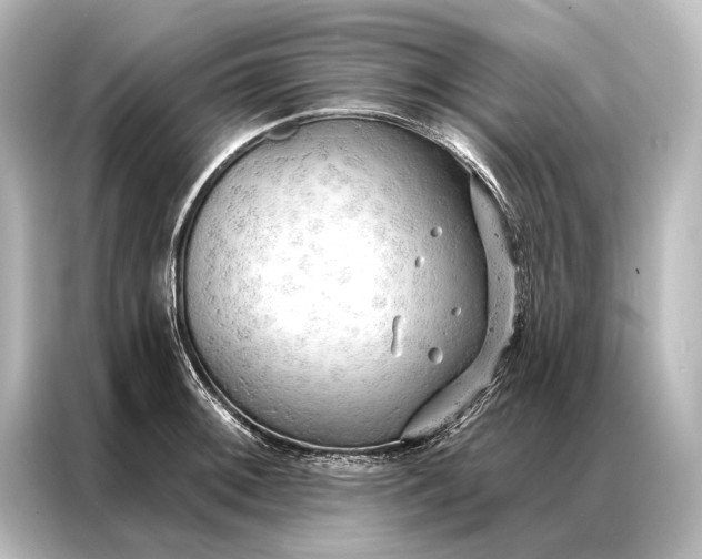 X0000087041092200705021132