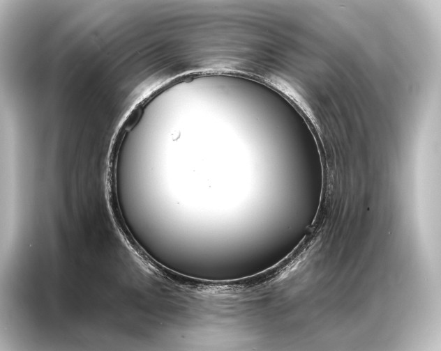 X0000087041093200705021132