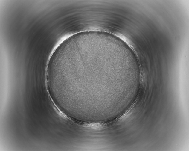 X0000087041094200705021132