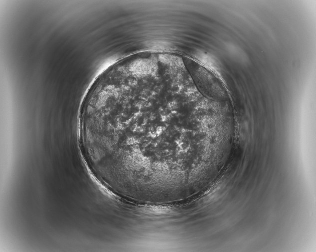 X0000087041095200705021132