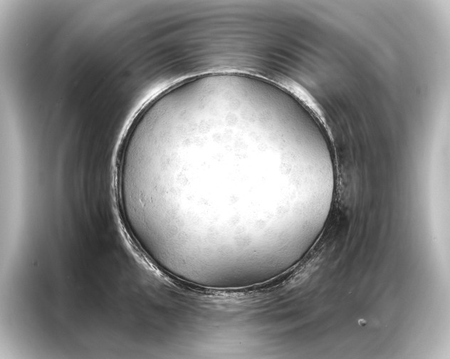 X0000087041096200705021132