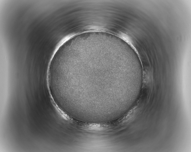 X0000087041098200705021131