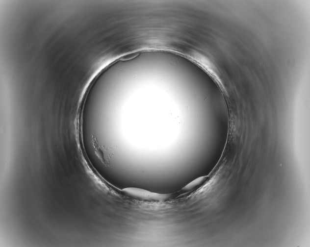 X0000087041100200705021131