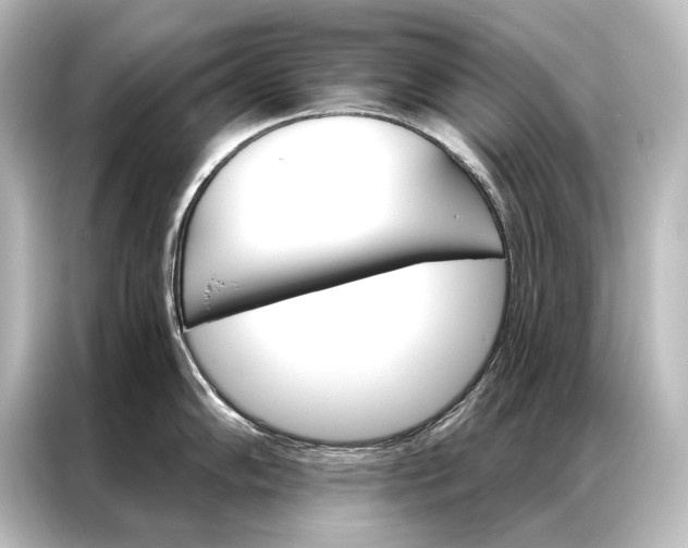 X0000087041102200705021131